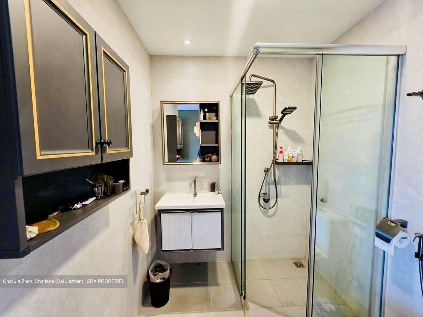 Parc Bleu (D15), Apartment #639657781